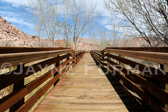 Calico Basin - Red Springs