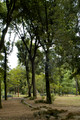 Villa Borghese Gardens