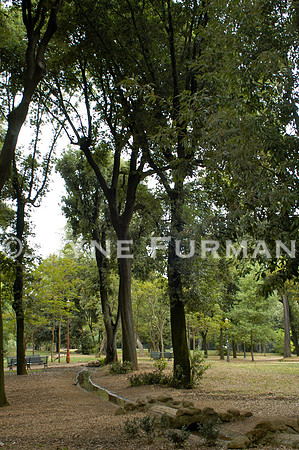 Villa Borghese Gardens
