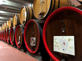Chianti Classico, Rocca delle Macie