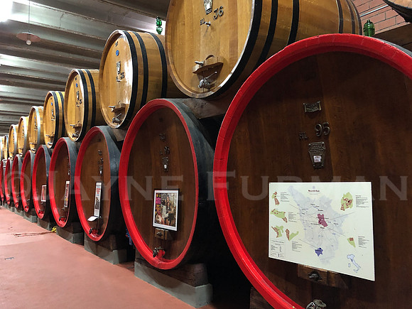 Chianti Classico, Rocca delle Macie