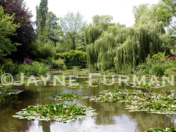 Monet's Garden