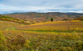 Chianti, Italy