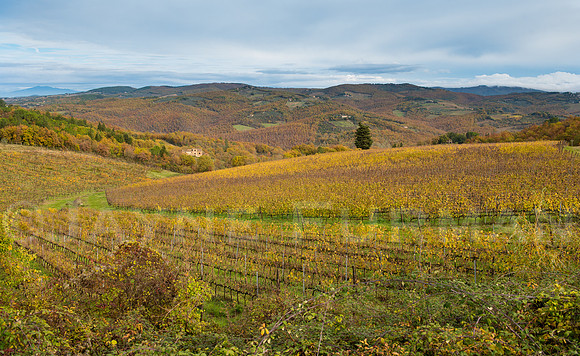 Chianti, Italy