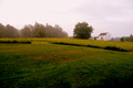 Hamilton, NY