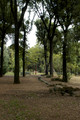 Villa Borghese Gardens - Rome