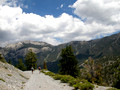 Mt. Charleston