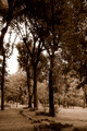 Villa Borghese Gardens - Rome