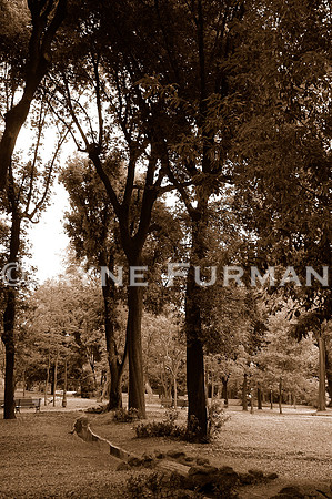 Villa Borghese Gardens - Rome