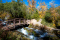 Cascade Springs