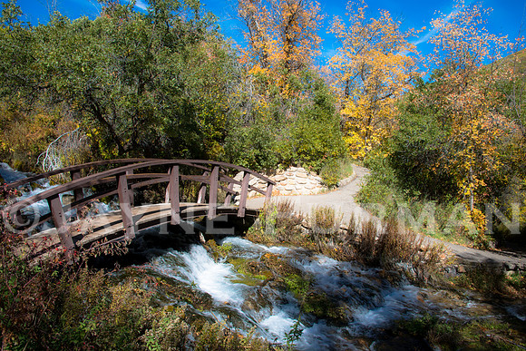 Cascade Springs