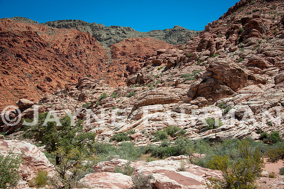 Calico Basin