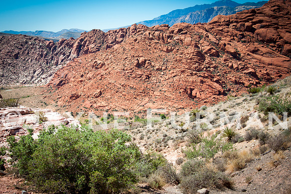 Calico Basin
