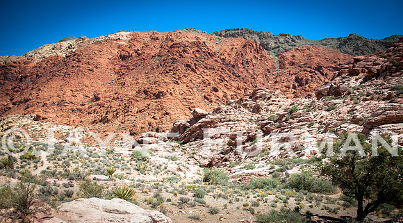 Calico Basin