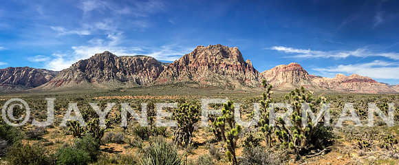 Red Rock Canyon Panorama