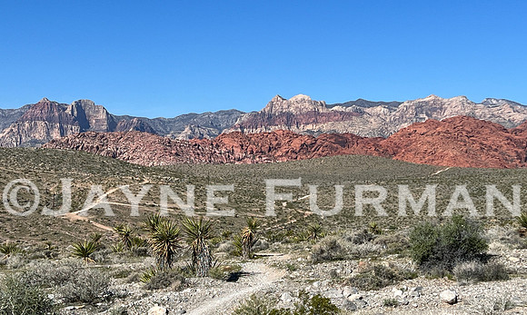 Red Rock Canyon
