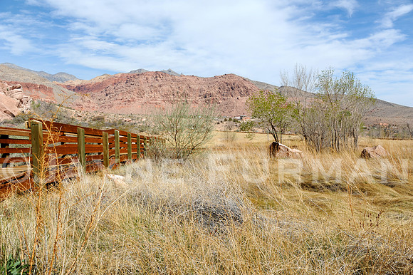 Calico Basin - Red Springs