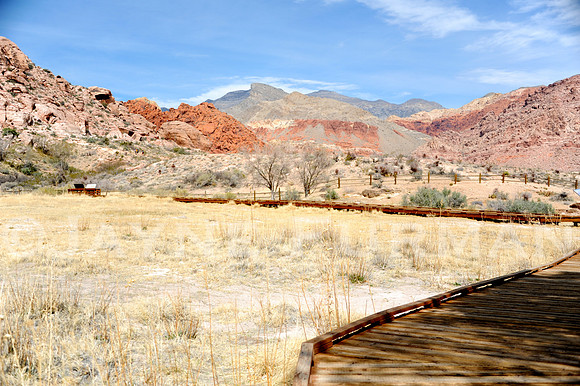 Calico Basin - Red Springs