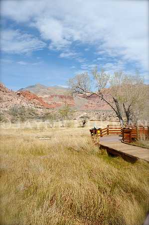Calico Basin - Red Springs