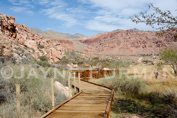 Calico Basin - Red Springs