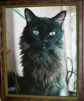 Barry