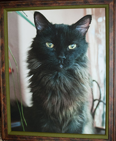 Framed Canvas